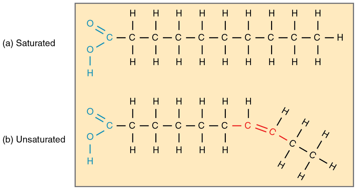 Learning with McCell part 7 Iodine number Mibelle Biochemistry